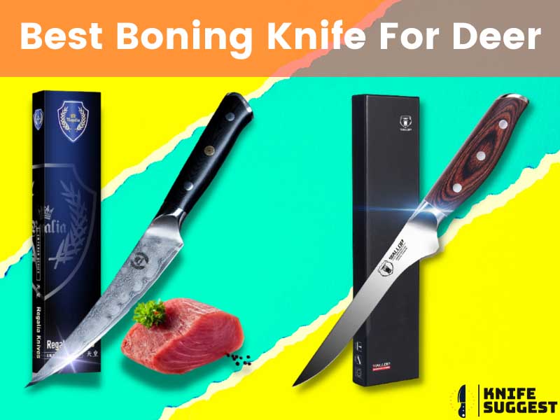 Best Boning Knife For Deer