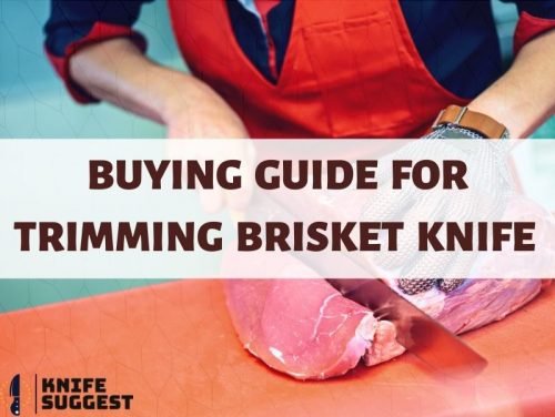 Buying Guide for Trimming Brisket Knife