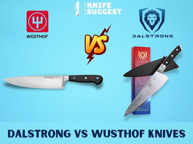 Dalstrong Vs Wusthof – Which One is the Best?