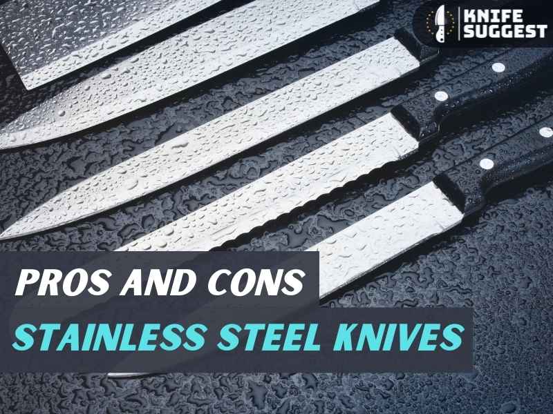 Pros and Cons of Stainless Steel Knives – Things You Should Know